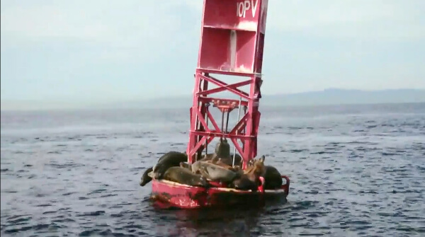 LA Waterkeepers video thumbnail image